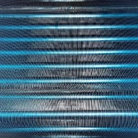 画像284