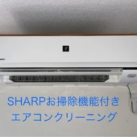 画像446