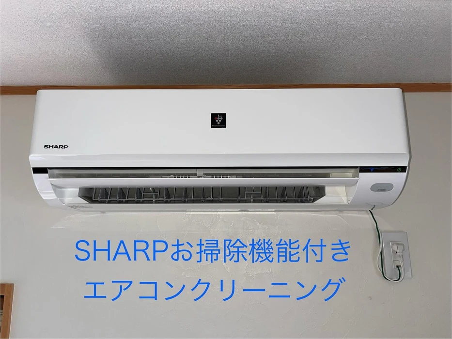 画像446